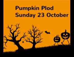 Pumpkin Plod image