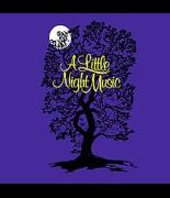A Little Night Music image