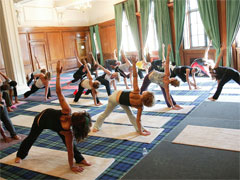 The Yoga Show image