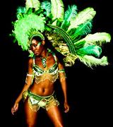 Jungle Fever - Latin and Salsa Party image