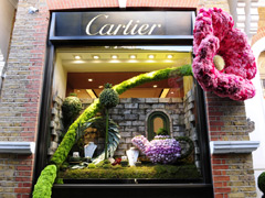 Fit for a Queen: Chelsea in Bloom image