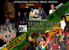 Reggae Voices image