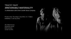 Irreversible Materiality image