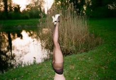Free Yoga in Kensington Gardens image