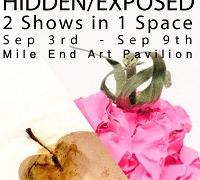 PLAN.OPEN. Hidden/Exposed exhibition  image