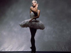 Meet Darcey Bussell image