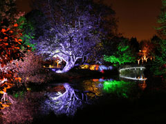 The Enchanted Woodland at Syon Park image