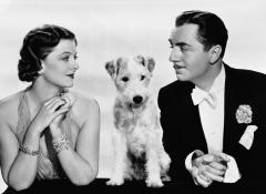 Dogs in the movies: from Rover to Uggie image