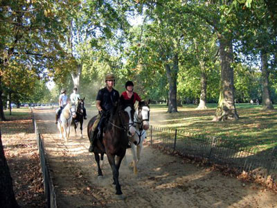 Go horse riding in Hyde Park image