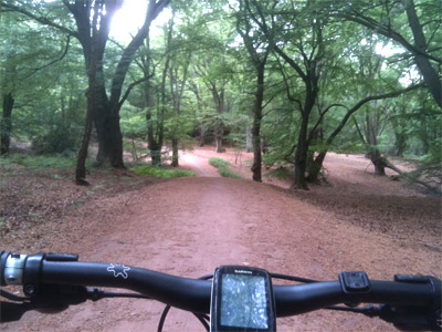 Mountain Biking in Epping Forest image