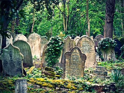 Take a tour of Highgate Cemetery picture
