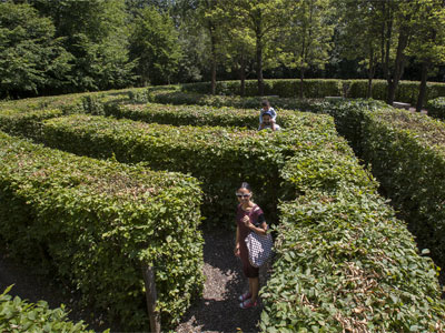 Lose yourself in a maze picture