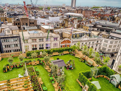 Escape the City at the John Lewis Rooftop Retreat image