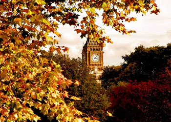 Best places in London to see The Fall picture