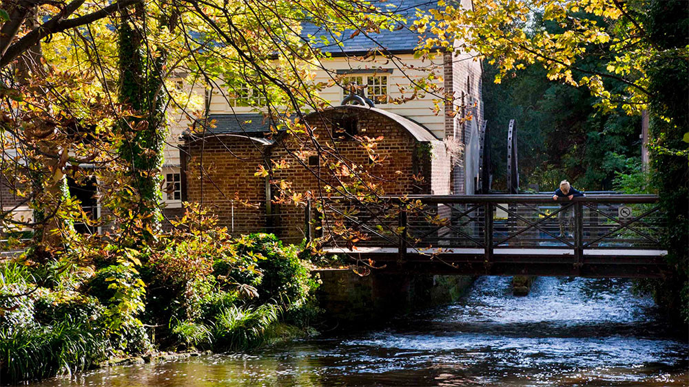 Visit London's historical snuff mills picture