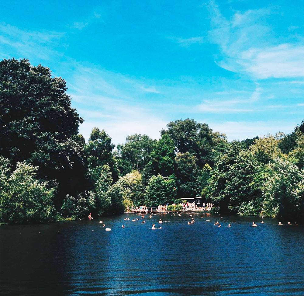 Swim in Hampstead's beautiful natural lakes  picture