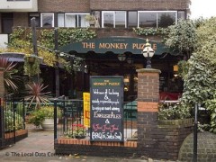 The Monkey Puzzle image