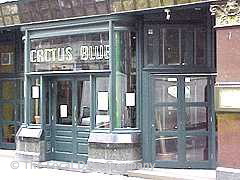 Cactus Blue image