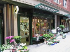 Flowers By G Walker image