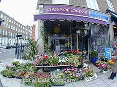 Titania's Garden image