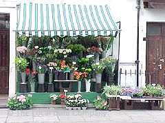 Claridges Flowers image