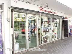 Hairaisers image