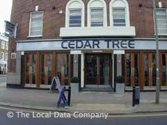 The Cedar Tree image