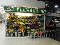 Carrington Brown Flowers image