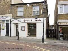 Ginger & Garlic image