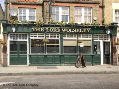 Lord Wolseley image