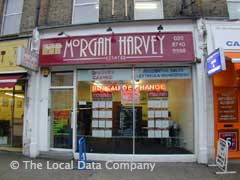 Morgan Harvey image