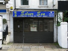Silver Sea image