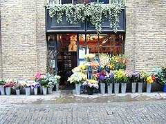 Tower Bridge Flowers image