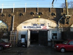 W Starling image