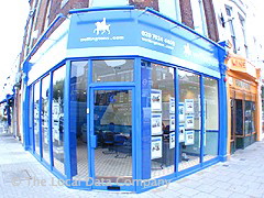 Wellingtons image