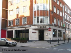 Cicada image