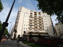 The Dorchester Bar image