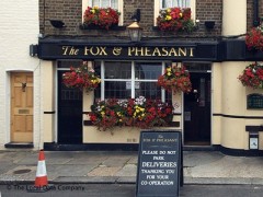 Fox & Pheasant image
