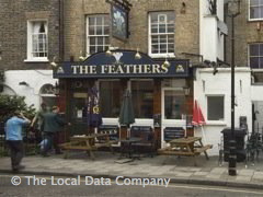 The Feathers image