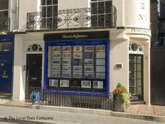 Henry & James image