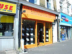 Amber Real Estate image
