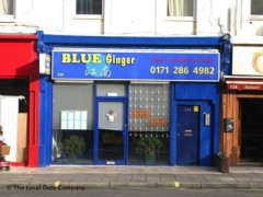 Blue Ginger image