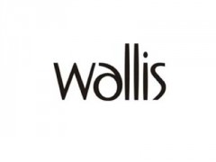 Wallis image
