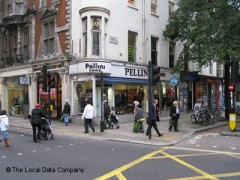 Pellini image