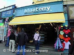 Blueberry image