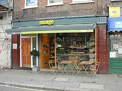 Mange image