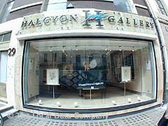 Halcyon Gallery image
