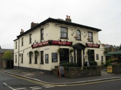 The Swan image