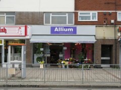 Allium image