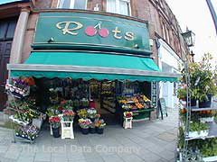 Roots image
